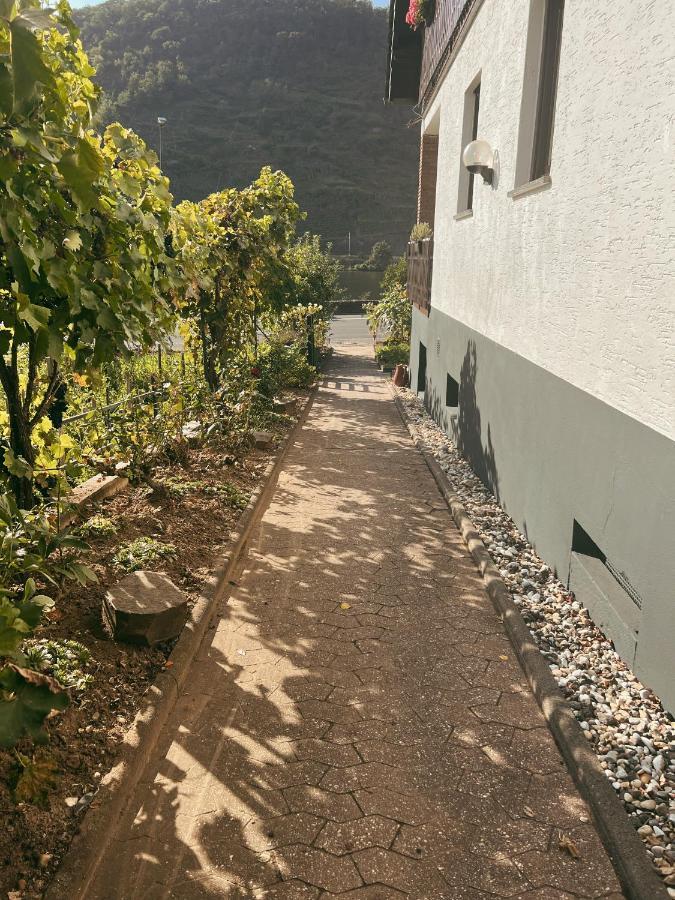 Ferienwohnung Moselflair Mit Direktem Blick Auf Die Mosel Und Weinberge Oberfell Экстерьер фото